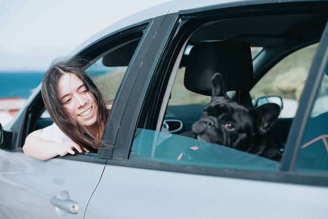 dog in the car with family