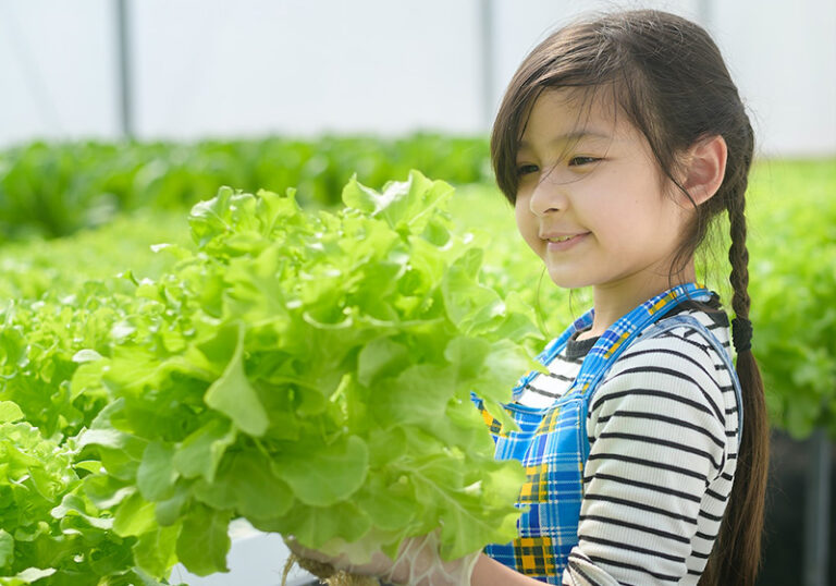 how-to-get-your-toddler-to-eat-veggies-for-picky-two-year-olds