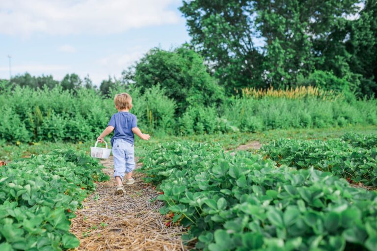 How to Get Your Toddler to Eat Veggies for Picky Two Year Olds